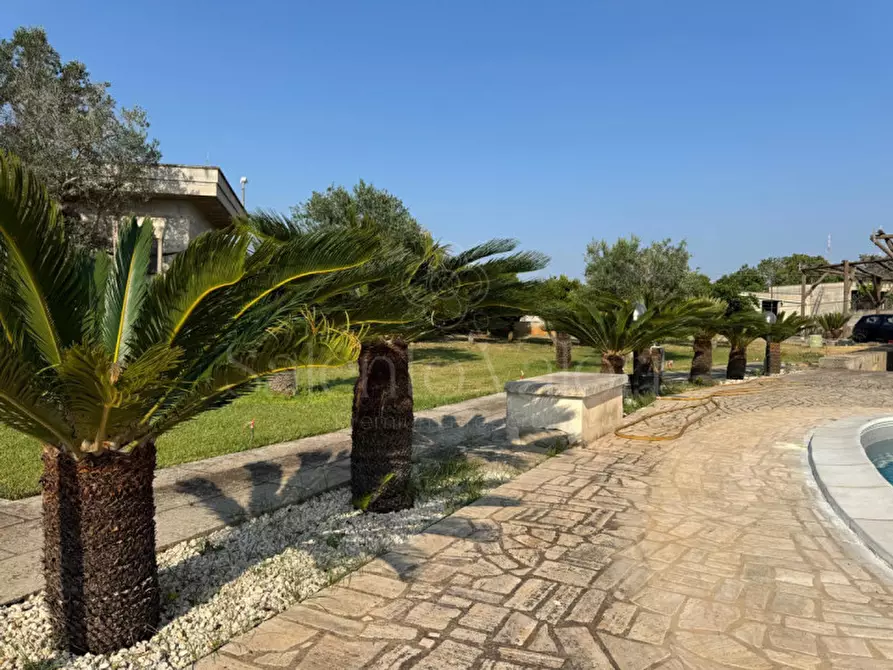 Immagine 21 di Villa in vendita  in Rischiazzi a Parabita