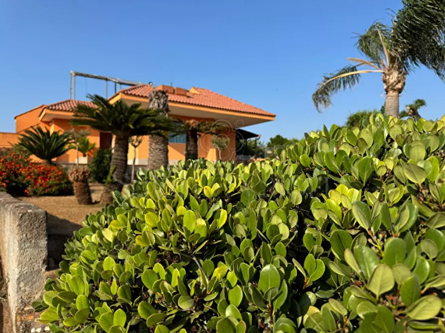 Immagine 29 di Villa in vendita  in Rischiazzi a Parabita