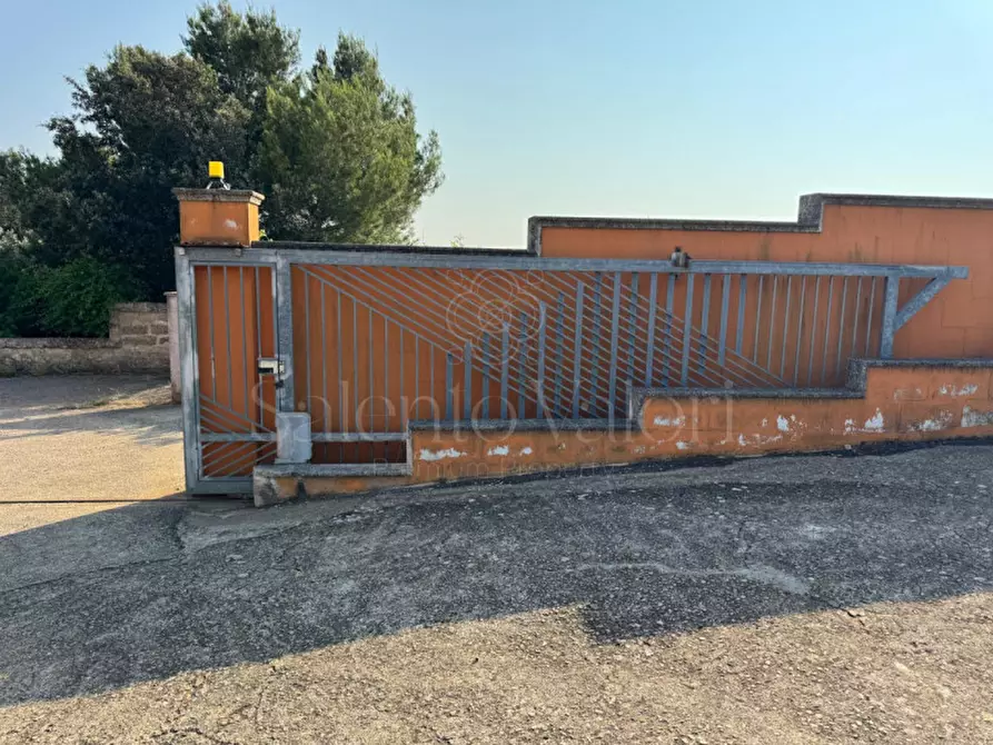 Immagine 31 di Villa in vendita  in Rischiazzi a Parabita