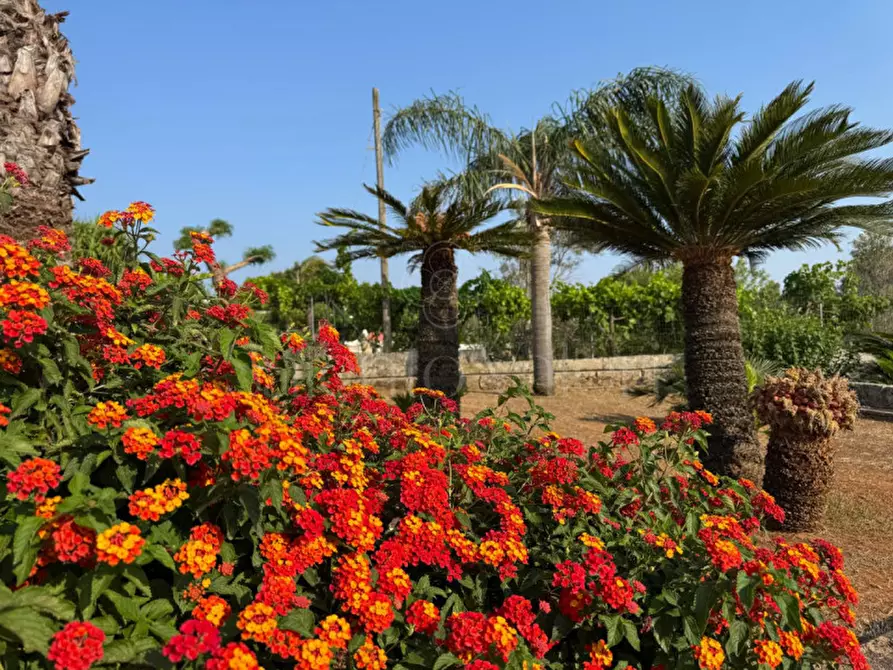 Immagine 33 di Villa in vendita  in Rischiazzi a Parabita