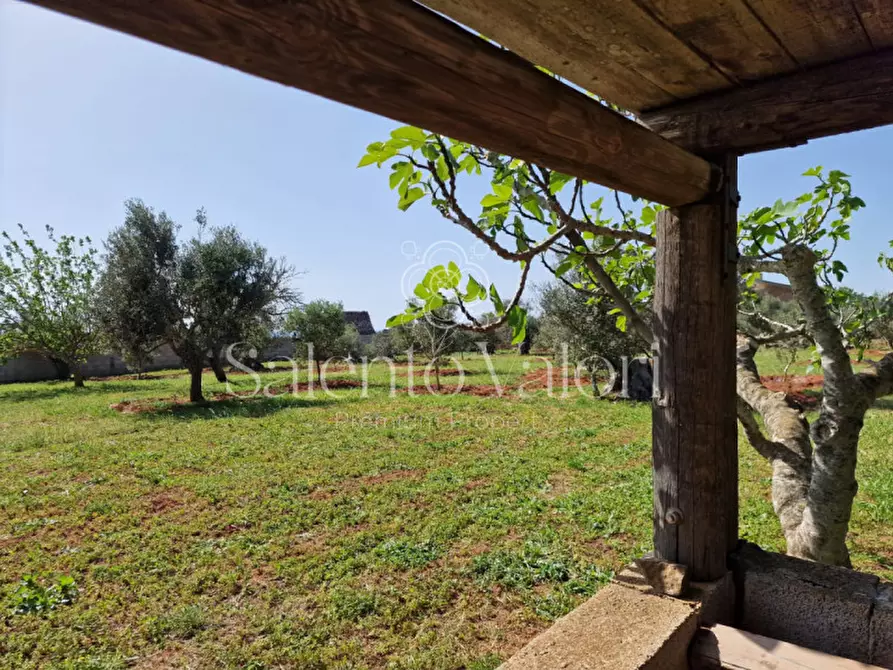 Immagine 40 di Villa in vendita  in Rischiazzi a Parabita