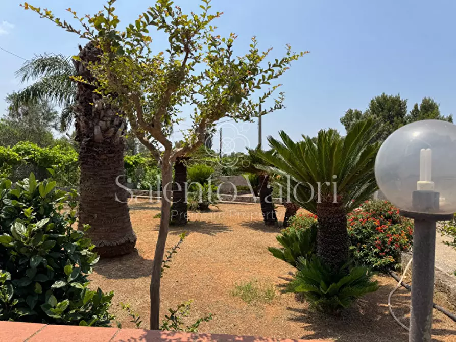 Immagine 43 di Villa in vendita  in Rischiazzi a Parabita