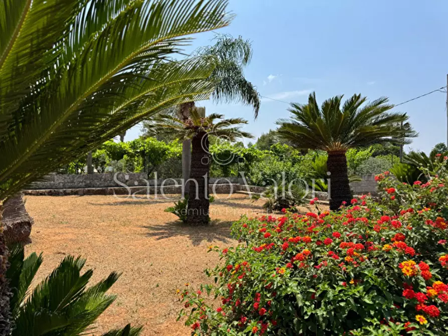 Immagine 44 di Villa in vendita  in Rischiazzi a Parabita