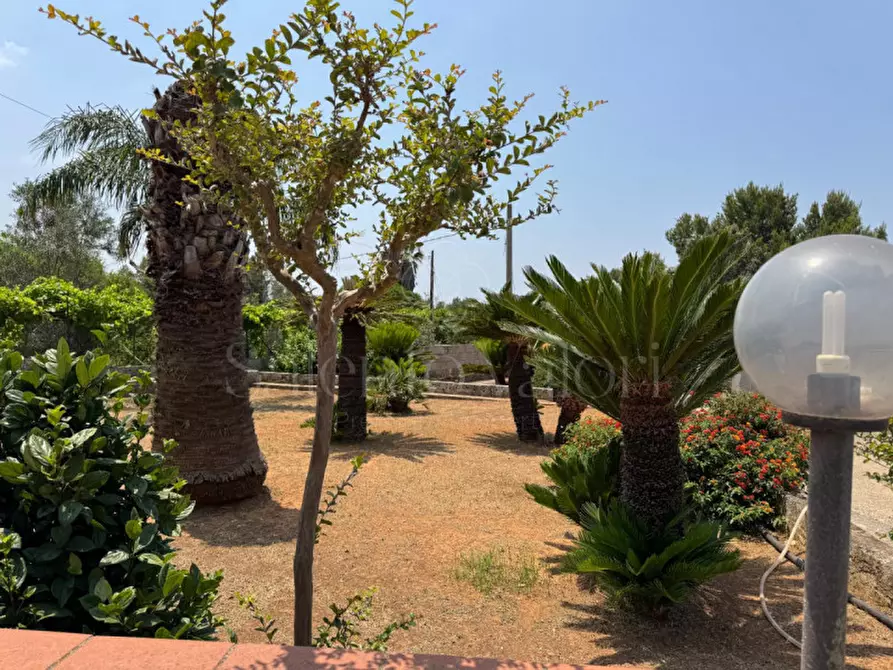 Immagine 64 di Villa in vendita  in Rischiazzi a Parabita