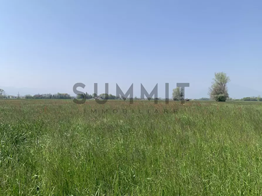 Immagine 3 di Terreno in vendita  in villaverla a Villaverla