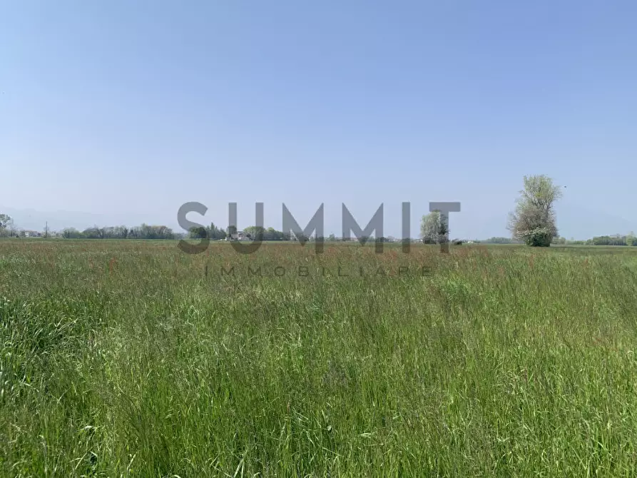 Immagine 4 di Terreno in vendita  in villaverla a Villaverla