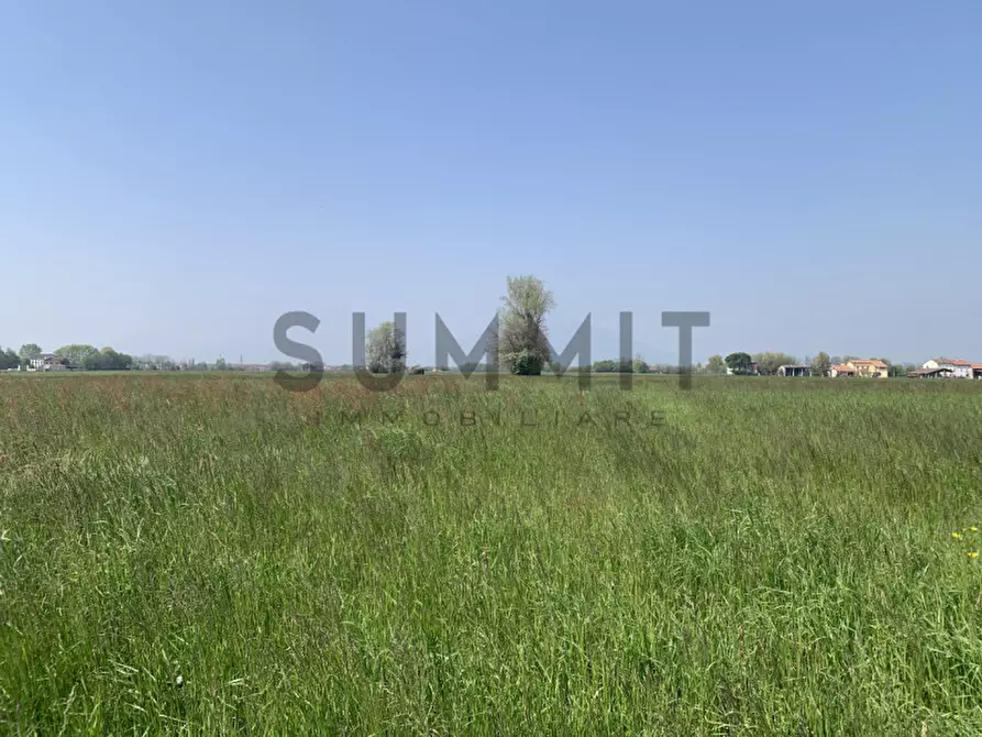 Immagine 5 di Terreno in vendita  in villaverla a Villaverla