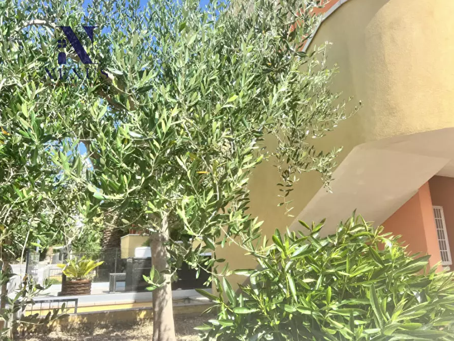 Immagine 8 di Appartamento in vendita  in Viale 1° Maggio a Trecastelli