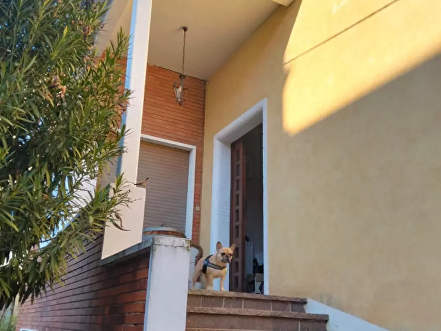 Immagine 2 di Casa indipendente in vendita  in Via Ospedali a Padova