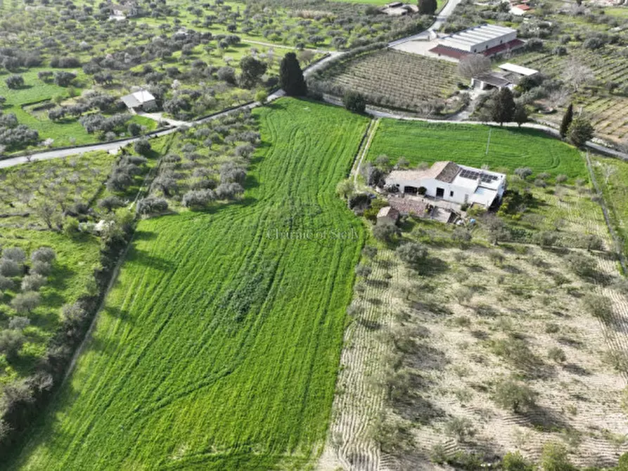 Immagine 11 di Casa indipendente in vendita  a Giarratana