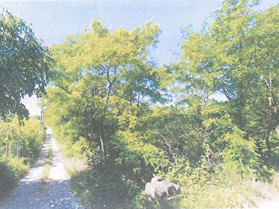 Immagine 1 di Terreno in vendita  in LUNGADIGE ATTIRAGLIO a Verona