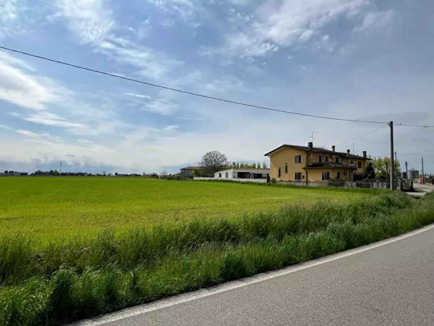 Immagine 5 di Terreno in vendita  in Via Pisane Righette a Legnago