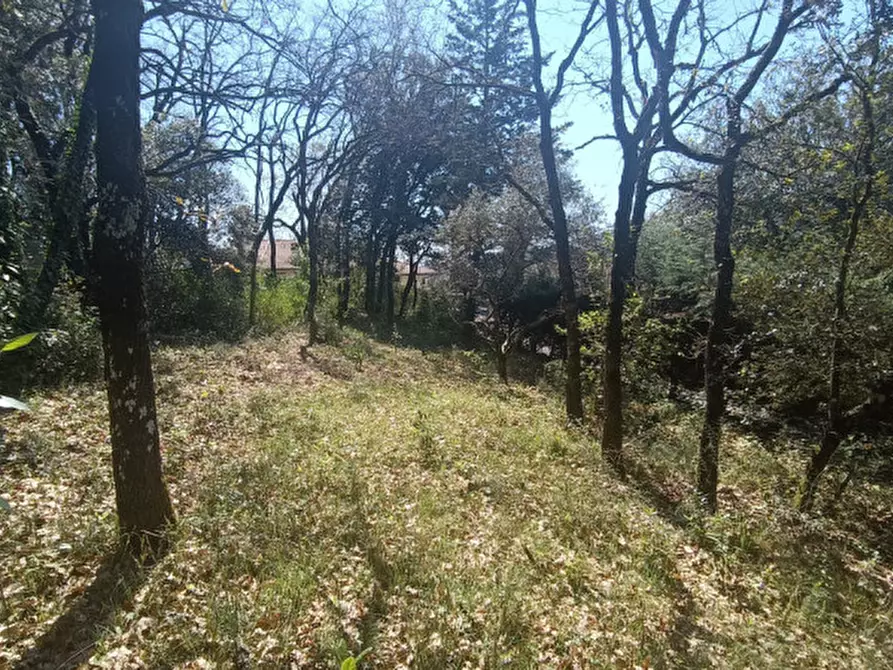 Immagine 3 di Casa bifamiliare in vendita  in via della betulla a Perugia