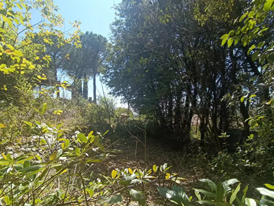 Immagine 4 di Casa bifamiliare in vendita  in via della betulla a Perugia