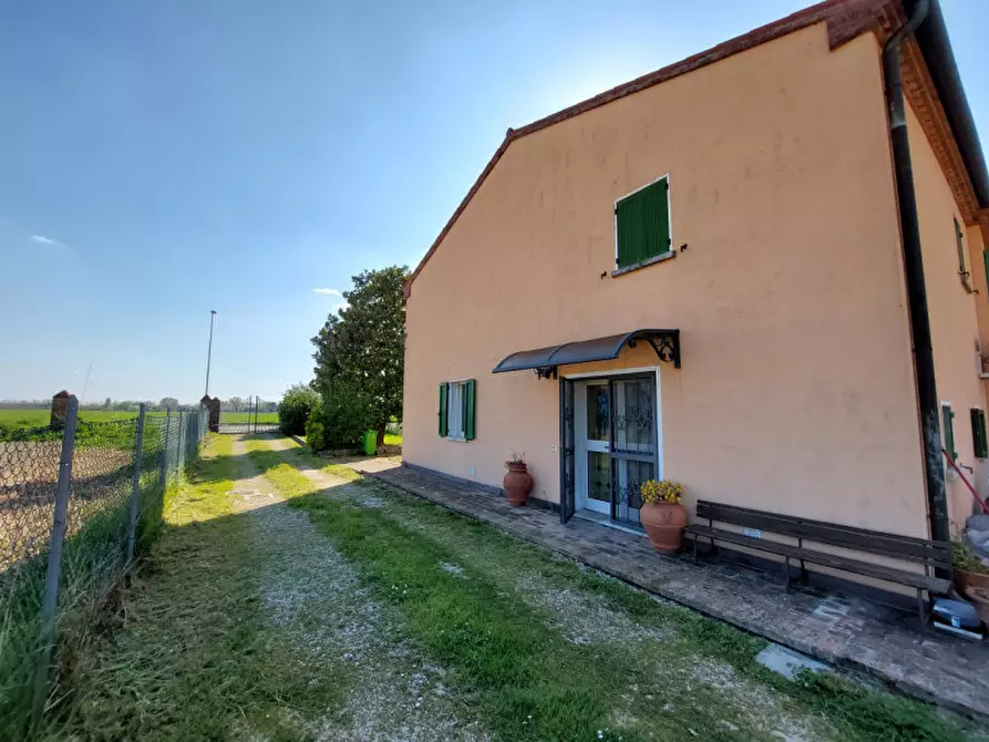 Immagine 2 di Casa bifamiliare in vendita  a San Bellino