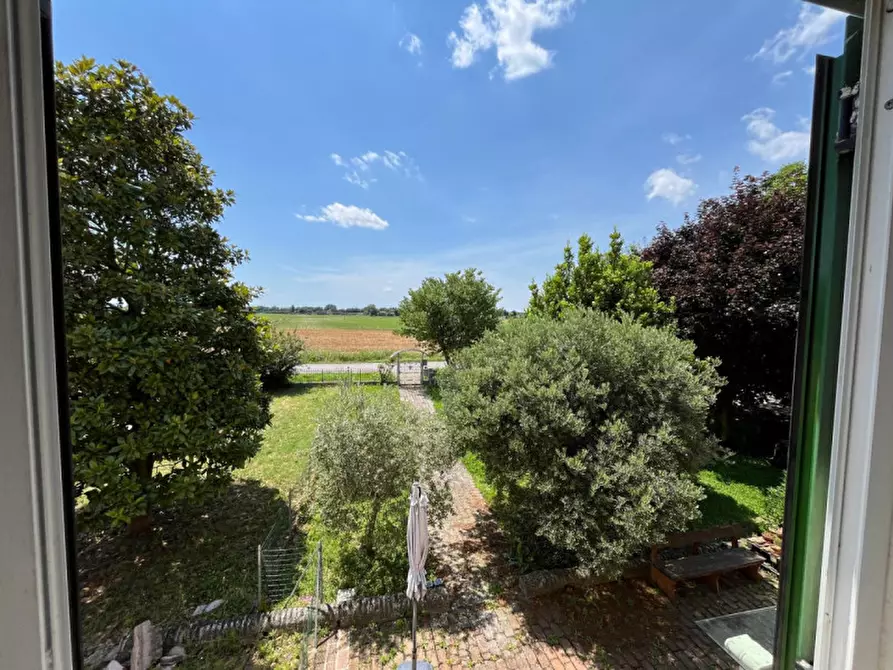 Immagine 11 di Casa bifamiliare in vendita  a San Bellino