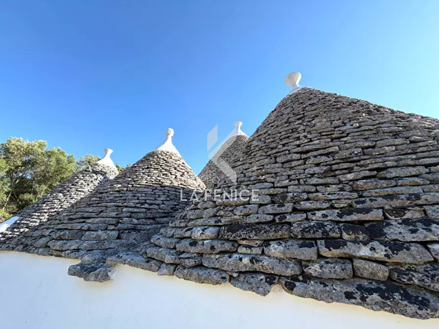 Immagine 8 di Rustico / casale in vendita  in Strada ortolini a Martina Franca