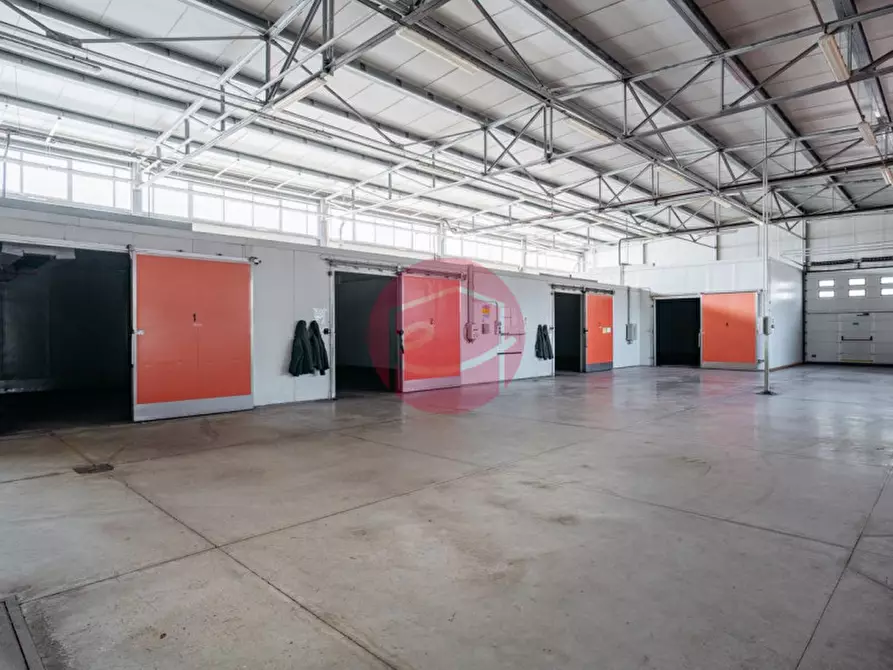 Immagine 7 di Capannone industriale in vendita  a Rimini
