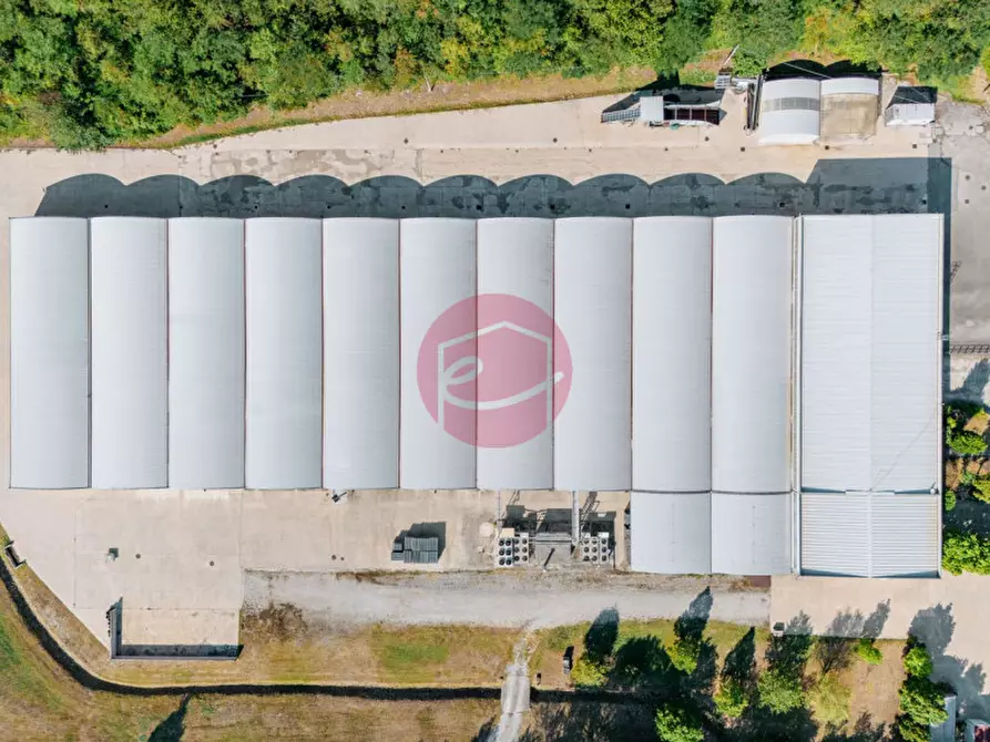 Immagine 19 di Capannone industriale in vendita  a Rimini