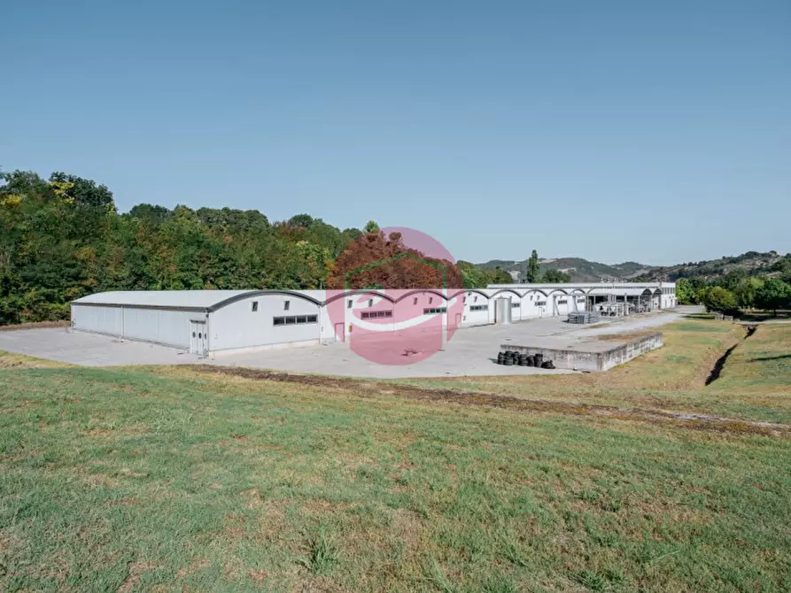 Immagine 20 di Capannone industriale in vendita  a Rimini