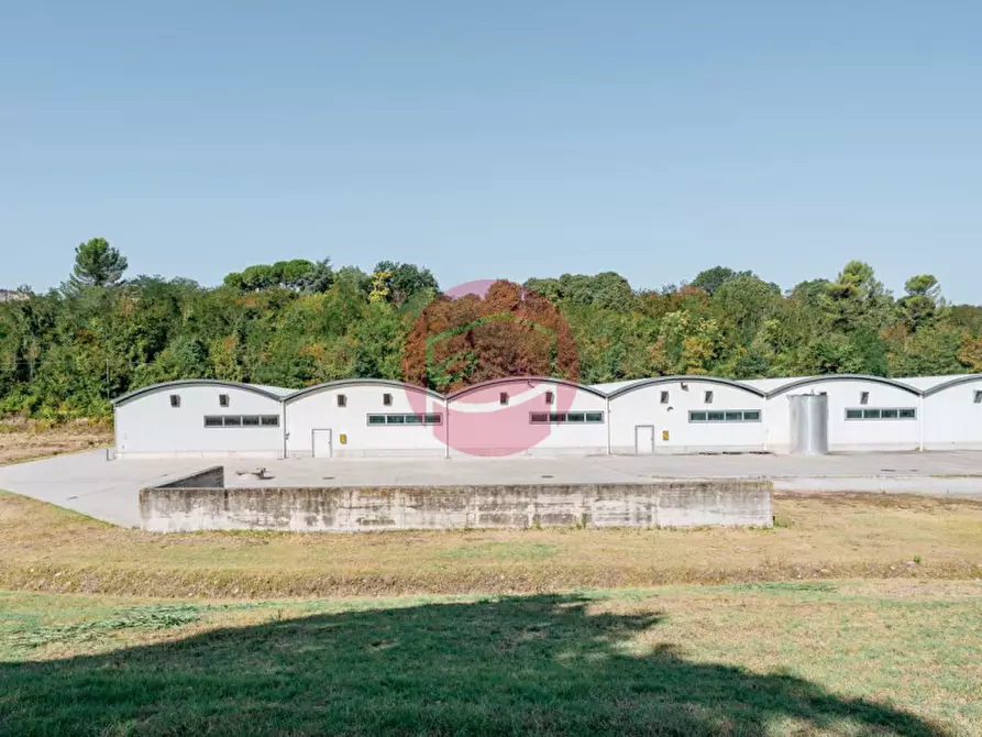 Immagine 22 di Capannone industriale in vendita  a Rimini