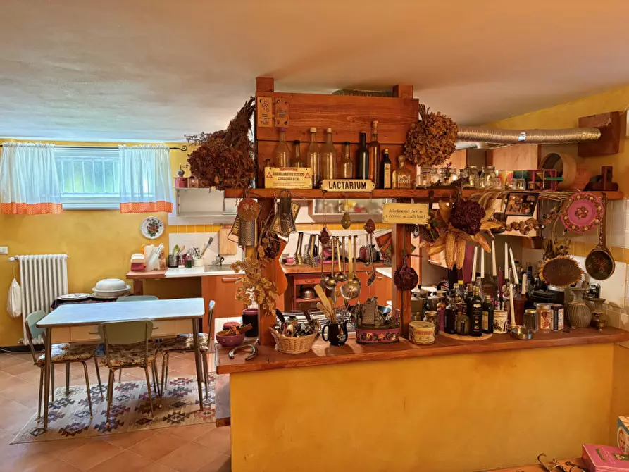 Immagine 2 di Cantina in affitto  in via di Romagna 134 a Trieste