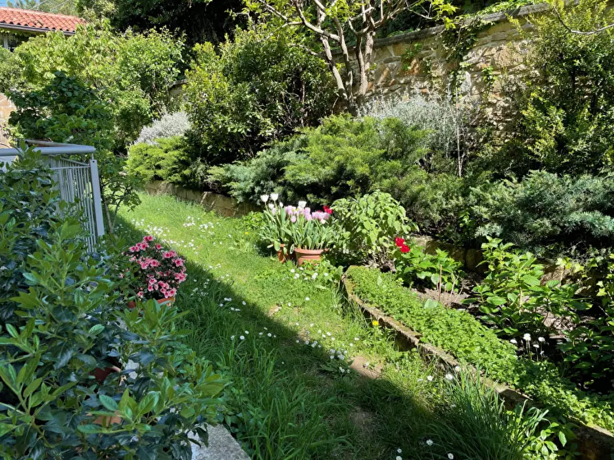 Immagine 23 di Cantina in affitto  in via di Romagna 134 a Trieste