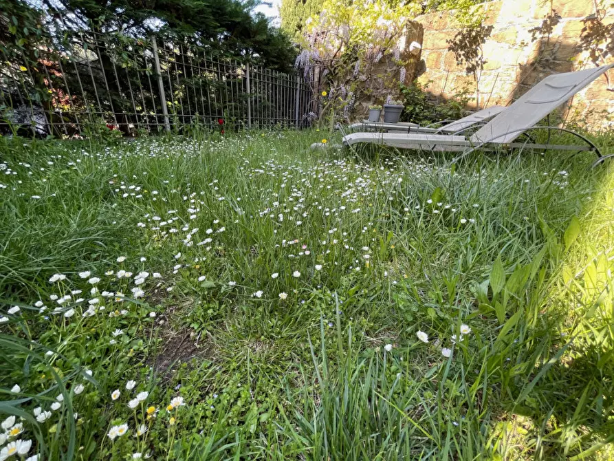 Immagine 27 di Cantina in affitto  in via di Romagna 134 a Trieste