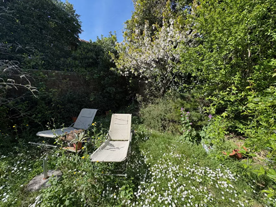 Immagine 28 di Cantina in affitto  in via di Romagna 134 a Trieste