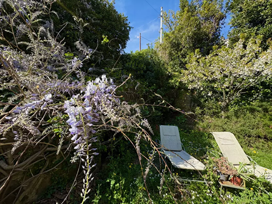 Immagine 30 di Cantina in affitto  in via di Romagna 134 a Trieste