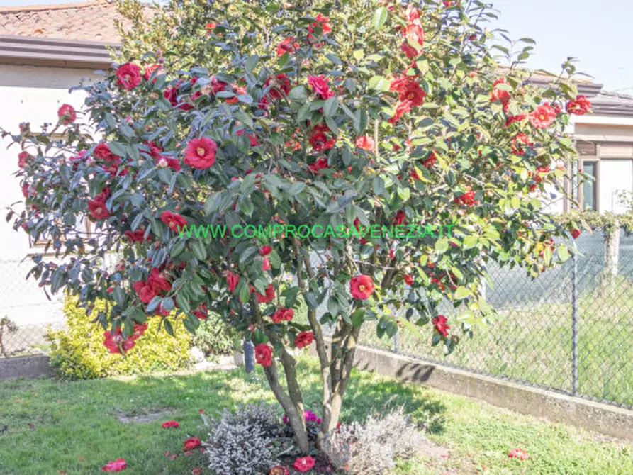 Immagine 9 di Casa indipendente in vendita  in via ca' lin a Venezia