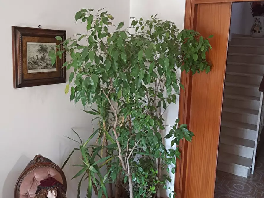 Immagine 33 di Casa bifamiliare in vendita  in Via San Pio X a Noventa Padovana