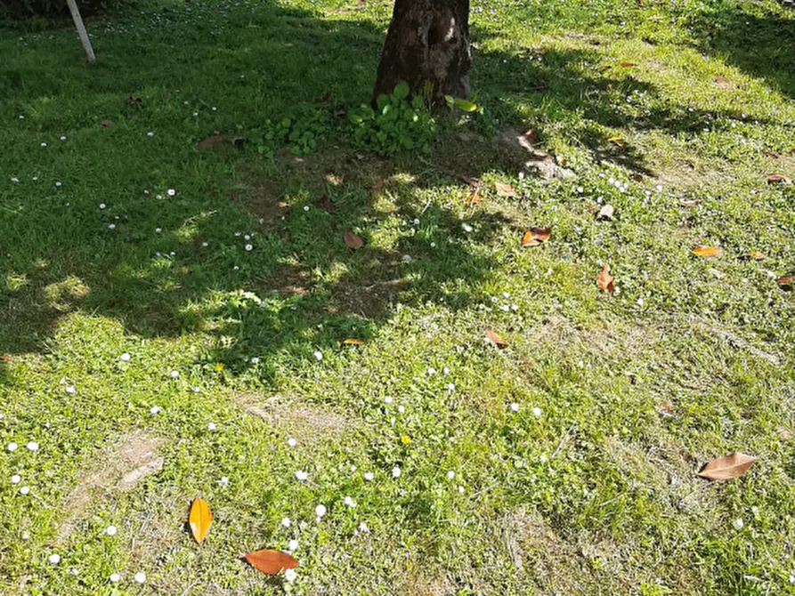 Immagine 52 di Casa bifamiliare in vendita  in Via San Pio X a Noventa Padovana