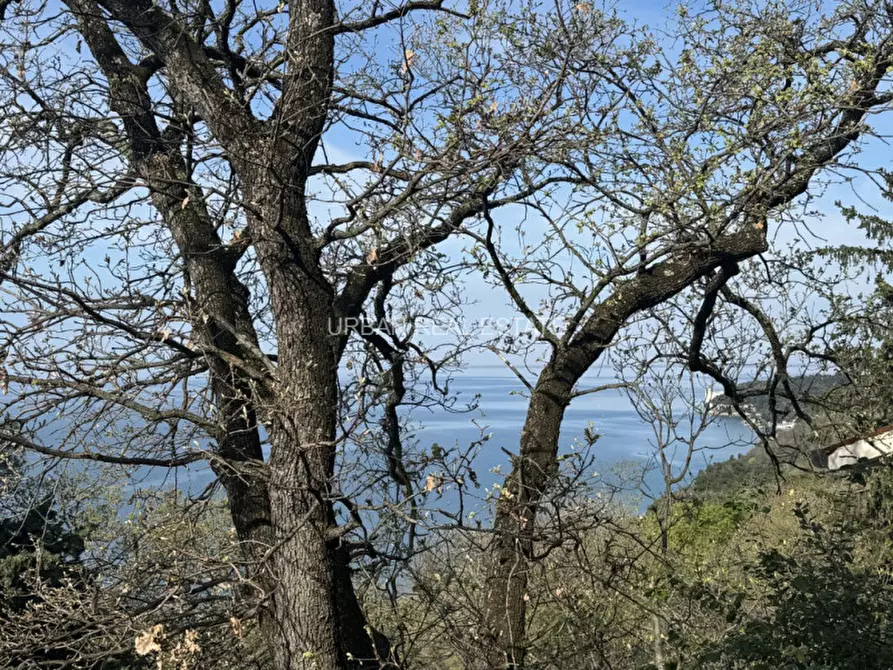 Immagine 7 di Casa bifamiliare in affitto  in Salita Cedassamare 30/a a Trieste