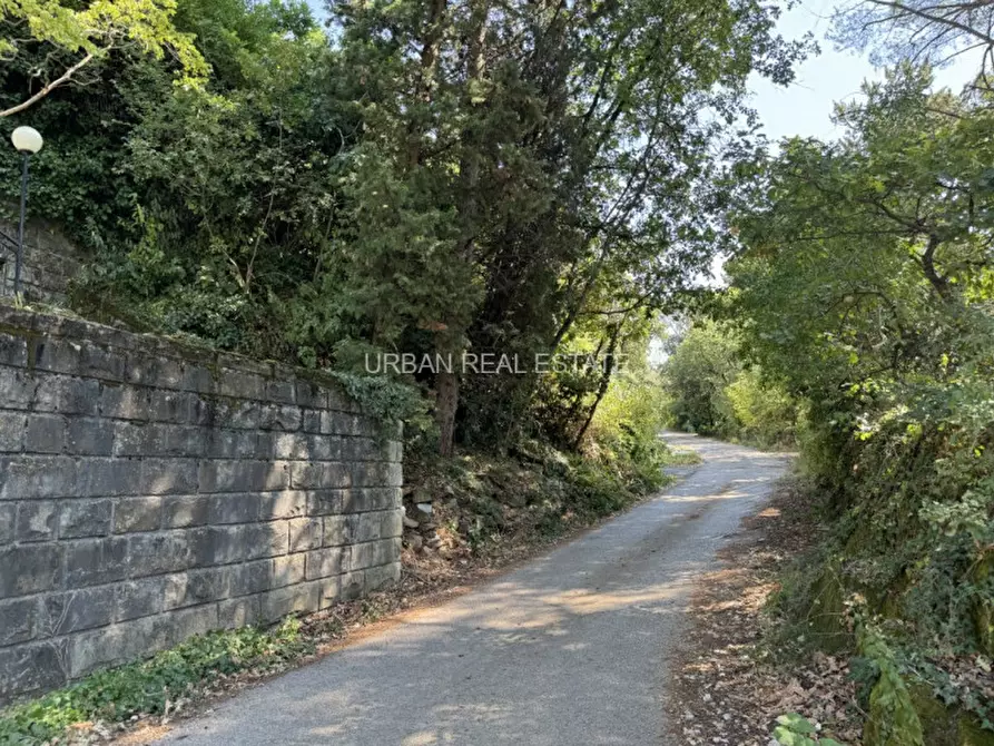 Immagine 54 di Casa bifamiliare in affitto  in Salita Cedassamare 30/a a Trieste