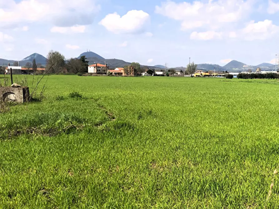 Immagine 6 di Terreno in vendita  in Via Cà Oddo a Monselice