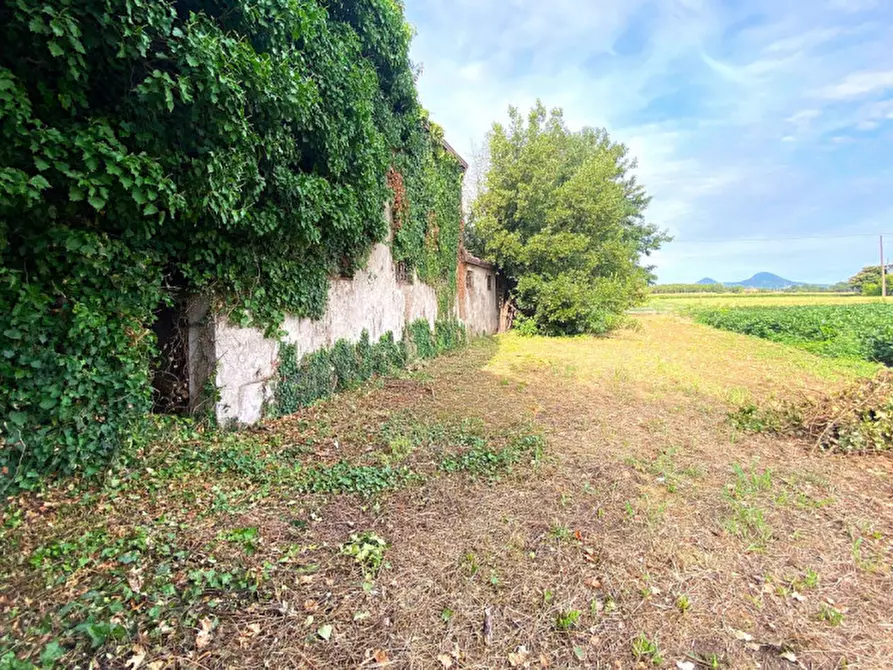 Immagine 18 di Rustico / casale in vendita  in Via vetta 35 a Monselice