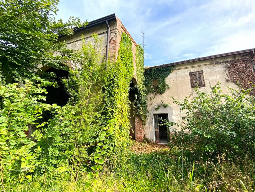 Immagine 19 di Rustico / casale in vendita  in Via vetta 35 a Monselice