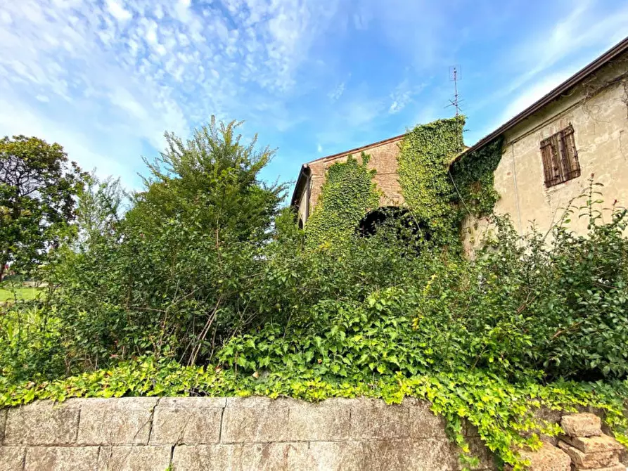 Immagine 21 di Rustico / casale in vendita  in Via vetta 35 a Monselice