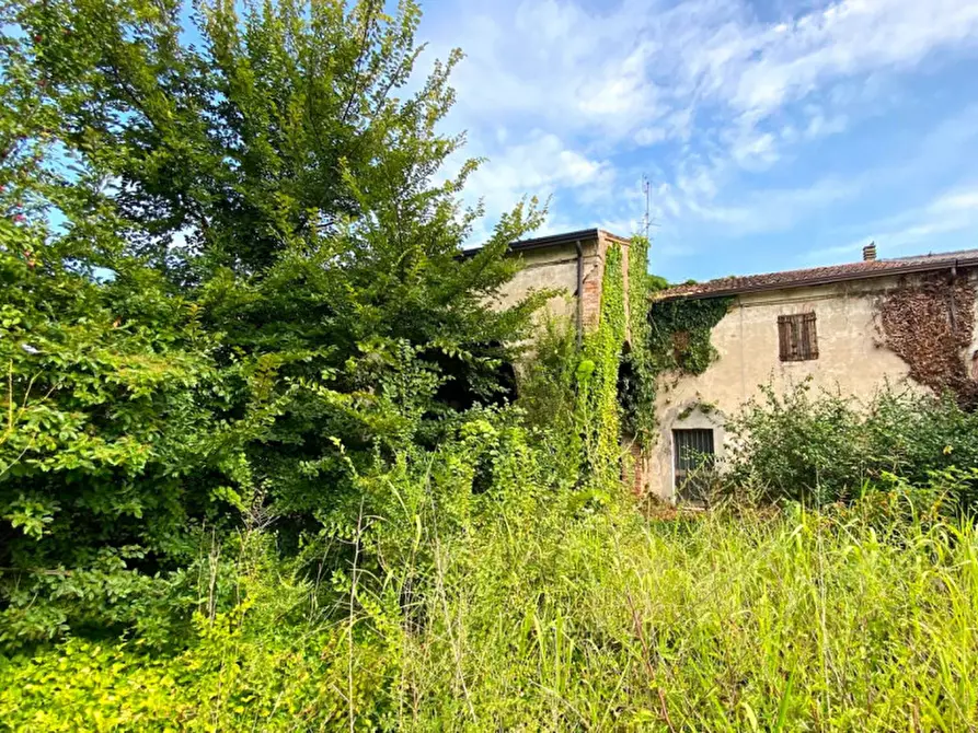 Immagine 22 di Rustico / casale in vendita  in Via vetta 35 a Monselice