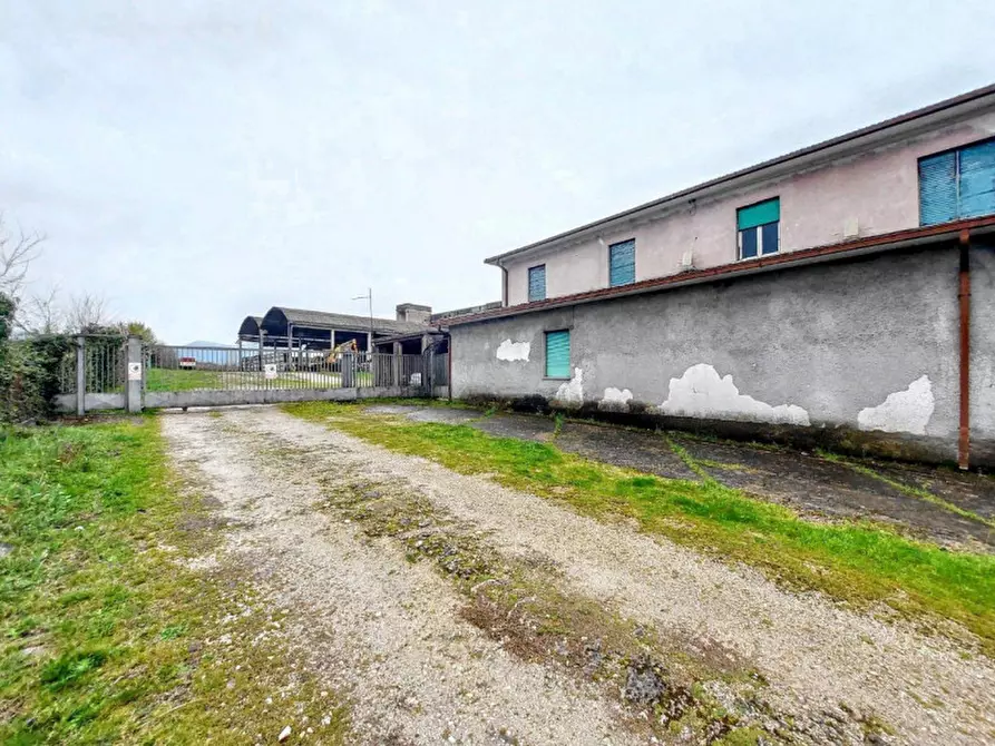 Immagine 3 di Terreno in vendita  in Loc. Isoletta - Via Civita Farnese Centro, N. snc a Arce