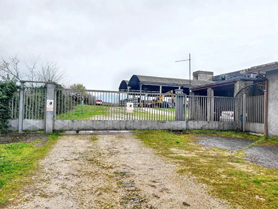 Immagine 5 di Terreno in vendita  in Loc. Isoletta - Via Civita Farnese Centro, N. snc a Arce