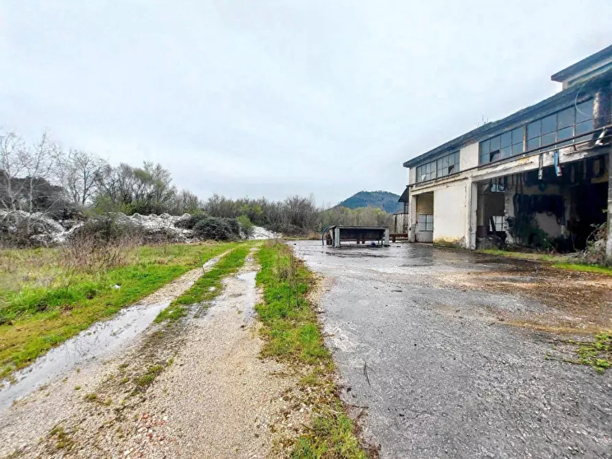 Immagine 21 di Terreno in vendita  in Loc. Isoletta - Via Civita Farnese Centro, N. snc a Arce