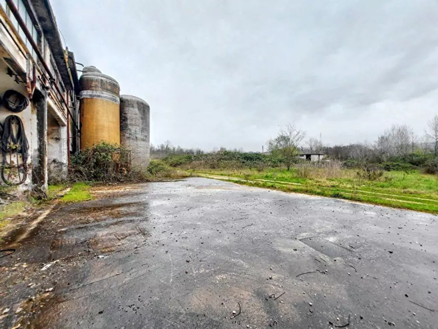 Immagine 22 di Terreno in vendita  in Loc. Isoletta - Via Civita Farnese Centro, N. snc a Arce