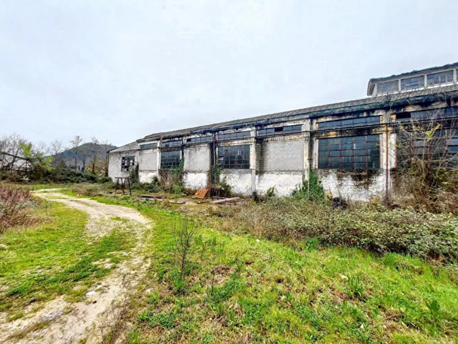 Immagine 24 di Terreno in vendita  in Loc. Isoletta - Via Civita Farnese Centro, N. snc a Arce