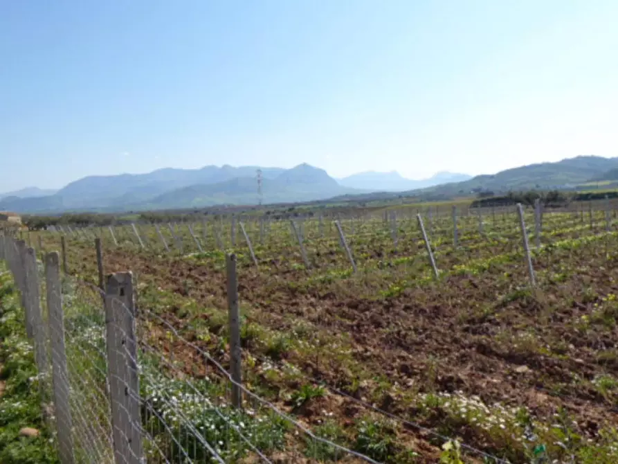 Immagine 4 di Terreno in vendita  in Contrada Bosco Falconeria, N. snc a Partinico