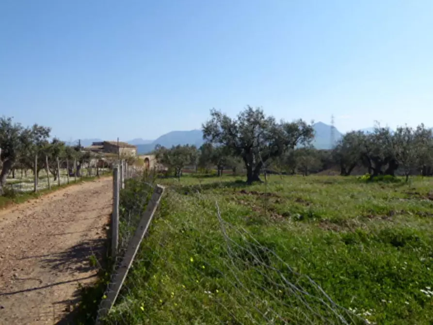 Immagine 5 di Terreno in vendita  in Contrada Bosco Falconeria, N. snc a Partinico
