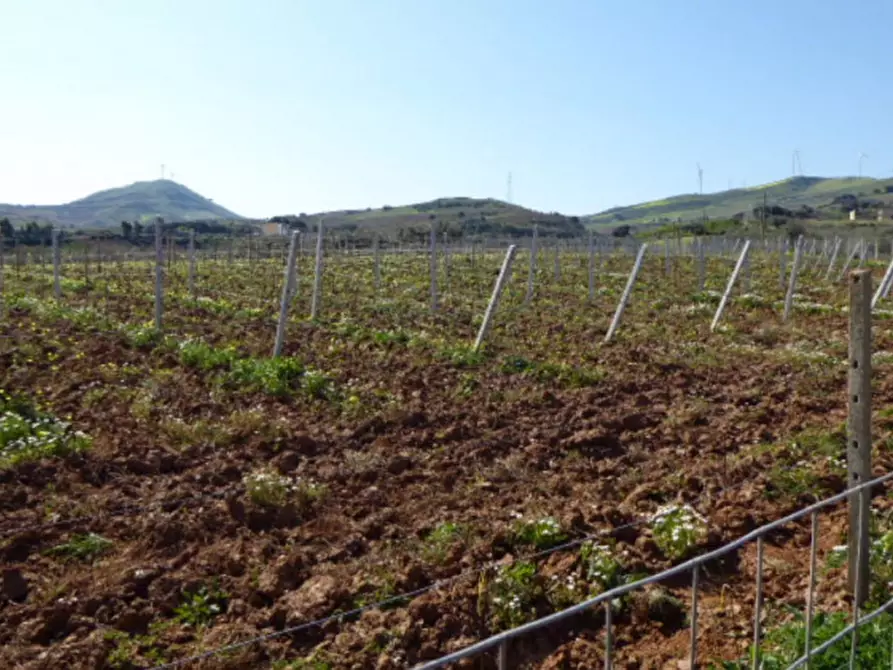 Immagine 6 di Terreno in vendita  in Contrada Bosco Falconeria, N. snc a Partinico