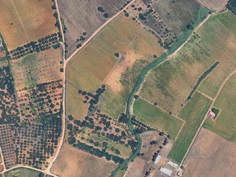 Immagine 7 di Terreno in vendita  in Contrada Bosco Falconeria, N. snc a Partinico