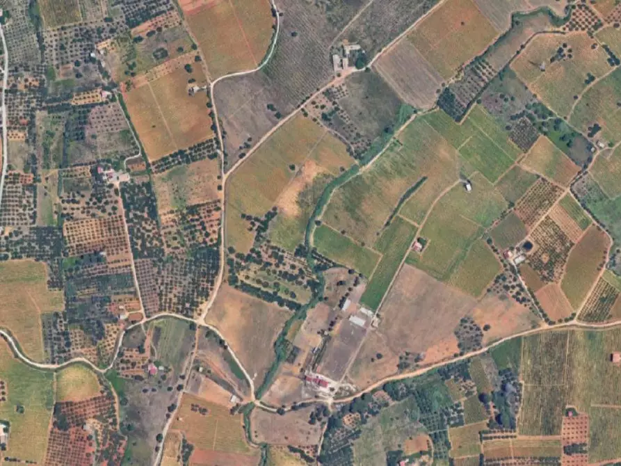 Immagine 8 di Terreno in vendita  in Contrada Bosco Falconeria, N. snc a Partinico